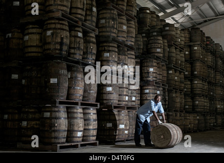 Eine Brennerei Arbeitskraft verschieben von Holzfässern in der Mount Gay rum Destillerie in St Lucy Parish, Barbados, Karibik Stockfoto