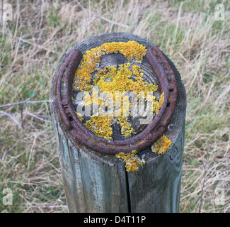 Hufeisen und Flechten auf der Oberseite einen Weg markieren Post markieren eine Spur für Pferde, Whitburn, North East England, UK Stockfoto