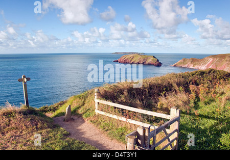 Pembrokeshire Küstenweg an Marloes Sands Pembrokeshire Coast National Park Wales im Spätsommer Stockfoto