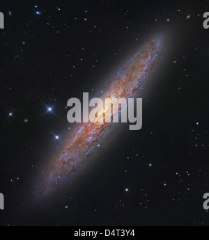NGC 253, eine seitliche Spiralgalaxie in Bildhauer. Stockfoto