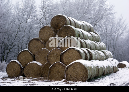 Winterszenen rund um Doncaster mit einem schneebedeckten Steinhaus, einer Person, die durch einen frostigen Waldweg geht, und Fußspuren über verschneite Fälle Stockfoto
