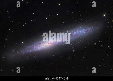 NGC 55, irreguläre Galaxie in Bildhauer. Stockfoto