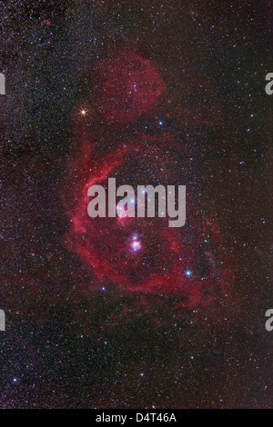 Das Sternbild Orion Stockfoto