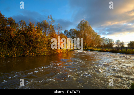 Wehr in den Fluß Waveney bei Mendham, Suffolk, im Herbst Stockfoto