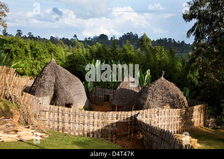 Dorze in den Bergen von Guge, Äthiopien Stockfoto