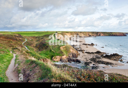 Pembrokeshire Küstenweg an Marloes Sands Pembrokeshire Coast National Park Wales im Spätsommer Stockfoto