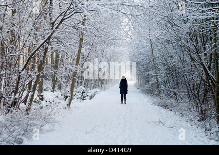 Winterszenen rund um Doncaster mit einem schneebedeckten Steinhaus, einer Person, die durch einen frostigen Waldweg geht, und Fußspuren über verschneite Fälle Stockfoto