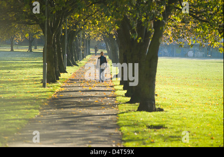 Allee mit Frau in der Sonne - die Wiesen Stockfoto