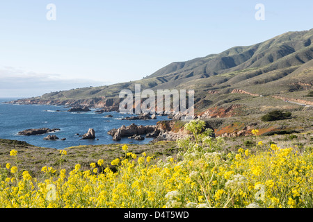 Big Sur Küste, Garrapata State Park, Kalifornien Stockfoto