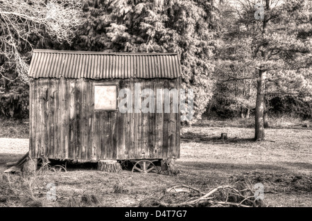 Mark Hall Estate, Braintree, Essex. Ein Blick in den Garten an einem kalten Frühlingstag. alten Wetter Holzwagen in einer Wald-Szene Stockfoto