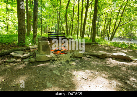 Brennende Feuer/Grill auf dem Campingplatz im Wald Stockfoto