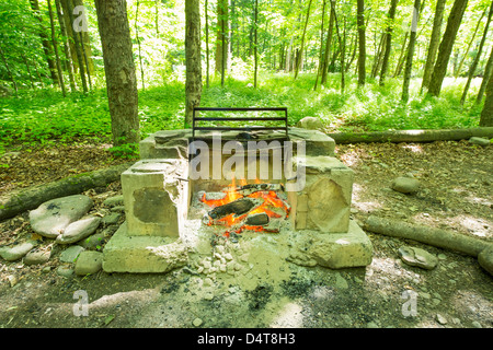 Brennende Feuer/Grill auf dem Campingplatz im Wald Stockfoto