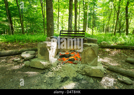 Brennende Feuer/Grill auf dem Campingplatz im Wald Stockfoto