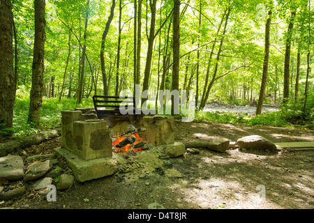 Brennende Feuer/Grill auf dem Campingplatz im Wald Stockfoto