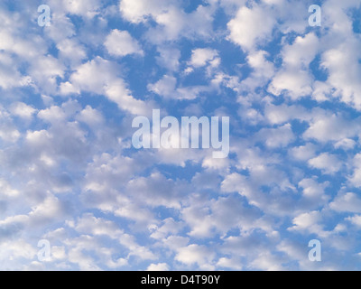 Mittlere Ebene Altocumulus-Wolken am blauen Himmel über Florida Stockfoto