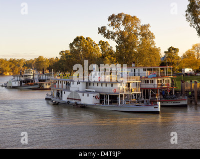 Flotte von historischen Raddampfer festgemacht im Wentworth Wharf, am Darling River, New South Wales, Australien Stockfoto