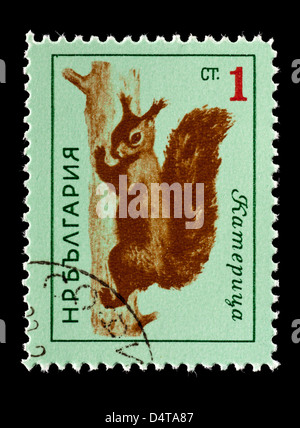 Briefmarke aus Bulgarien Darstellung Stockfoto