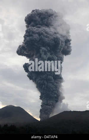 Aschewolke steigt vom Tompaluan-Krater am Vulkan Lokon-Empung, Indonesien. Stockfoto