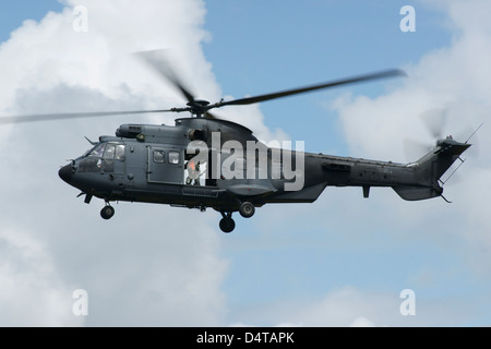 19. Juni 2010 - A Eurocopter AS532 Cougar der Royal Netherlands Air Force im Flug über Volkel, Niederlande. Stockfoto