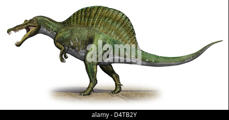 Spinosaurus Aegyptiacus, einem prähistorischen Ära Dinosaurier aus der Kreidezeit. Stockfoto