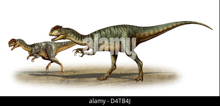 Dilophosaurus Wetherilli, einem prähistorischen Ära Dinosaurier aus der frühen Jurazeit. Stockfoto