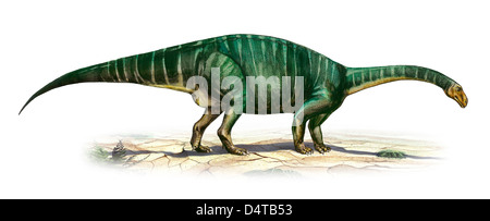 Plateosaurus Engelhardti, einem prähistorischen Ära Dinosaurier aus der späten Trias. Stockfoto