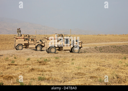 Ein paar der US-Armee Cougar MRAP Fahrzeuge. Stockfoto