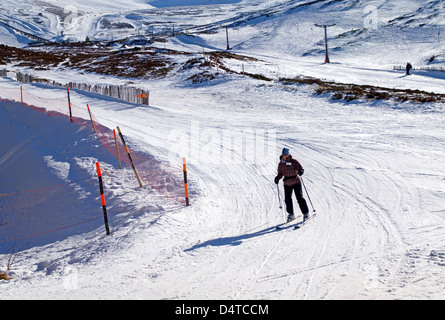 Skifahrer auf der Piste Burnside, Cairngorm Mountain Skizentrum von Aviemore, Cairngorms National Park, Schottisches Hochland, Schottland, Vereinigtes Königreich Stockfoto