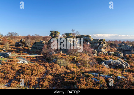 Brimham Rocks in der Nähe von Ripon, Nordyorkshire. Stockfoto