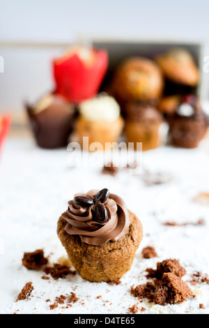 Ein Schokoladen-Kaffee-Muffin, umgeben von Krümel mit anderen Muffins im Hintergrund Stockfoto