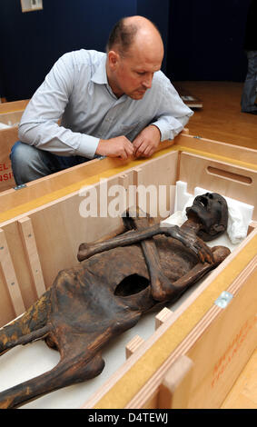 Kai Fueldner, Kurator der Kasseler Museum of Natural History, schaut die Mumie eines älteren Mannes im Museum für Sepulcral Kultur in Kassel, Deutschland, 30. Oktober 2009. Es ist im Besitz einer Basler Sammlung seit 1840 und wurde in ein örtliches Museum ausgestellt. Während der Vorbereitungen für die Ausstellung wurden mehrere Mumien gezeigt? Mumien - Körper für die Ewigkeit?. Die Ausstellung wird Stockfoto