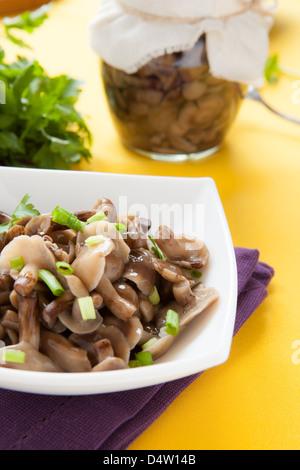 eingelegte Honig Champignons und Frühlingszwiebeln in einer weißen Schüssel, Essen Stockfoto