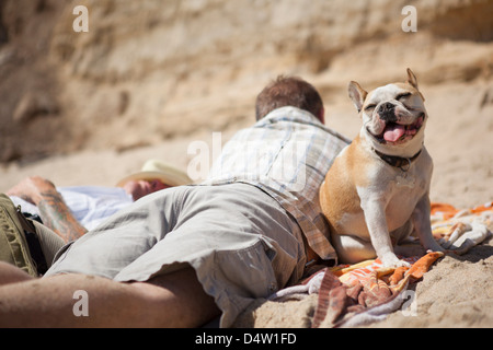 Männer mit Hund am Strand entspannen Stockfoto