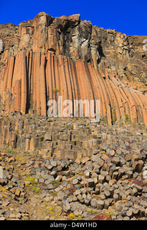 Herbstlaub arktische Weide auf geschwungenen Gruppen von Basaltsäulen. Vikingebugt Scoresbysund Fjord. Stockfoto