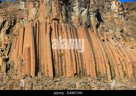 Herbstlaub arktische Weide auf geschwungenen Gruppen von Basaltsäulen. Vikingebugt Scoresbysund Fjord. Stockfoto