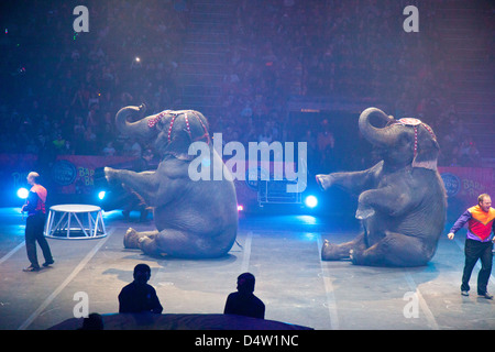 Ringling Bros und Barnum Bailey Zirkus Elefanten Stockfoto