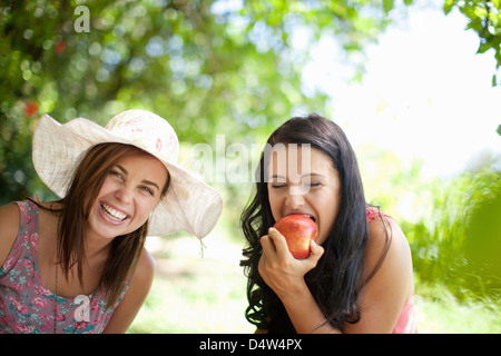 Frauen zusammen im Park picknicken Stockfoto