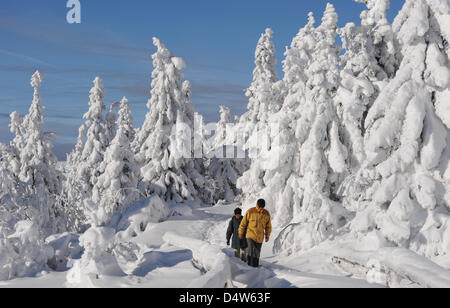 Kinderwagen im Schnee in der Nähe des Gipfels "Grosser Arber" (1456m) im Bayerischen Wald in der Nähe von Bayerisch Eisenstein, Deutschland, 21. Dezember 2009. Foto: ARMIN WEIGEL Stockfoto