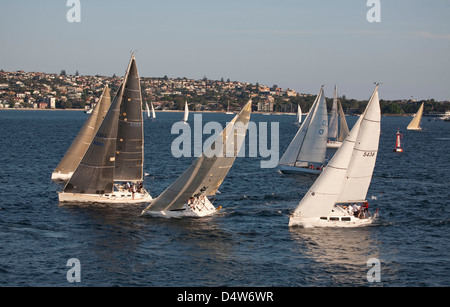 Mittwoch Nachmittag Segelregatten im Hafen von Sydney vor östlichen Vororte Waterfront Häuser Sydney Australia Stockfoto