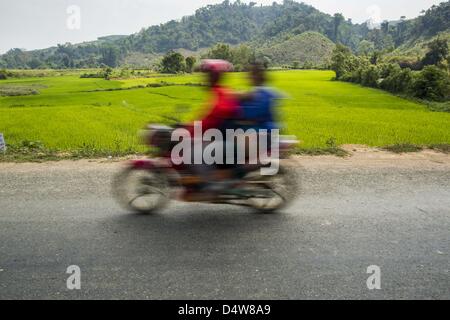 12. März 2013 - Ban Thabou, Luang Prabang, Laos - geht ein Motorradfahrer auf der Autobahn 13 grünen Reisfeldern. Die Pflasterung der Autobahn 13 von Vientiane bis nahe der chinesischen Grenze hat den Weg des Lebens im ländlichen Laos verändert. Dorfbewohner in der Nähe von Luang Prabang verwendet zu haben, um unzuverlässige Boote nehmen, die drei Stunden hin-und Rückfahrt dauerte, bis aus den Häusern zum touristischen Zentrum von Luang Prabang, jetzt sie eine 40-minütige Rundfahrt nehmen Busfahrt. Nördlich von Luang Prabang wurde die Pflasterung der Autobahnanschluss eine Chance für China, Laos als eine Umladung Punkt zu verwenden. Chinesische Ware geht jetzt durch Laos nach Thailand wo Stockfoto