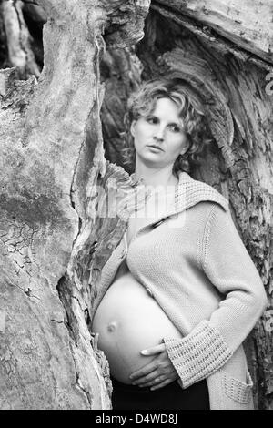 (Dpa-Datei) Eine Datei im Bild datiert 7. Juni 2006 einer schwangeren Frau etwa sieben Monate schwanger in Frankfurt Oder, Deutschland. Foto: Patrick Pleul (Modell freigegeben) Stockfoto