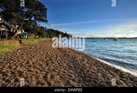 Einen Nachmittag entlang des Strandes an der Russell, Neuseeland Stockfoto