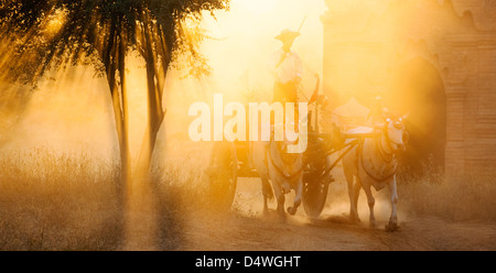 Ochsen-Karren in den Staub beim Sonnenuntergang, Bagan, Mandalay, Birma (Myanmar) Stockfoto