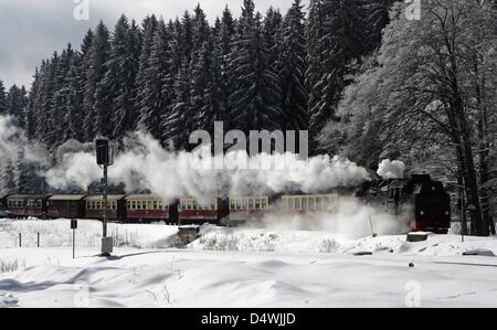 Eine Dampfmaschine Zug des Harz-Schmalspur Bahn Dienstleistungen Reisen durch einen winterlichen Öandscape in der Harz-Region in der Nähe von Wernigerode, Deutschland, 13. März 2013. Foto: Matthias Bein Stockfoto