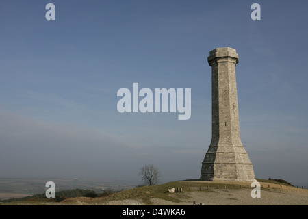 Hardys Denkmal in Dorset Stockfoto