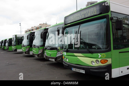 Busse in Santa Cruz De Tenerife, Kanarische Inseln, betrieben durch lokale Busunternehmen TITSA Stockfoto