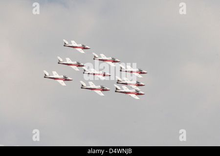 Der Snowbirds 431 Air Demonstration Squadron der Royal Canadian Air Force. Stockfoto