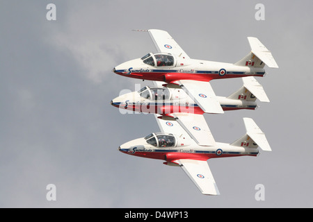 Der Snowbirds 431 Air Demonstration Squadron der Royal Canadian Air Force. Stockfoto