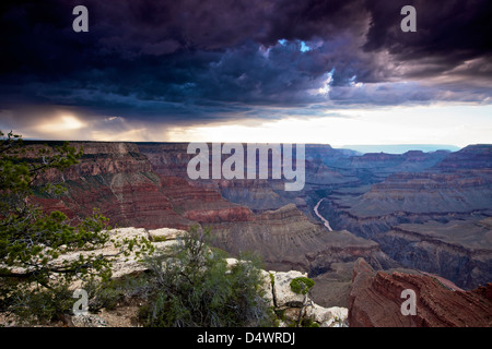 Grand Canyon von Mohave Point South Rim, Arizona, USA gesehen. Stockfoto