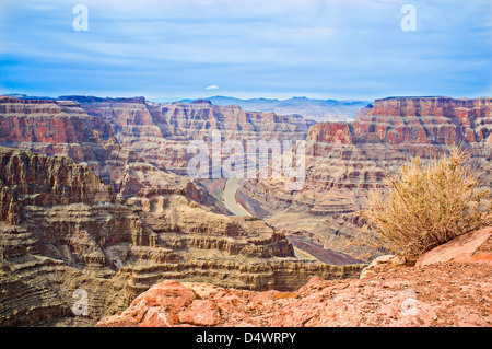 Grand Canyon aus Guano Point, West Rim, Arizona, USA Stockfoto